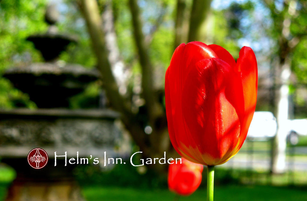 Helm'S Inn فكتوريا المظهر الخارجي الصورة